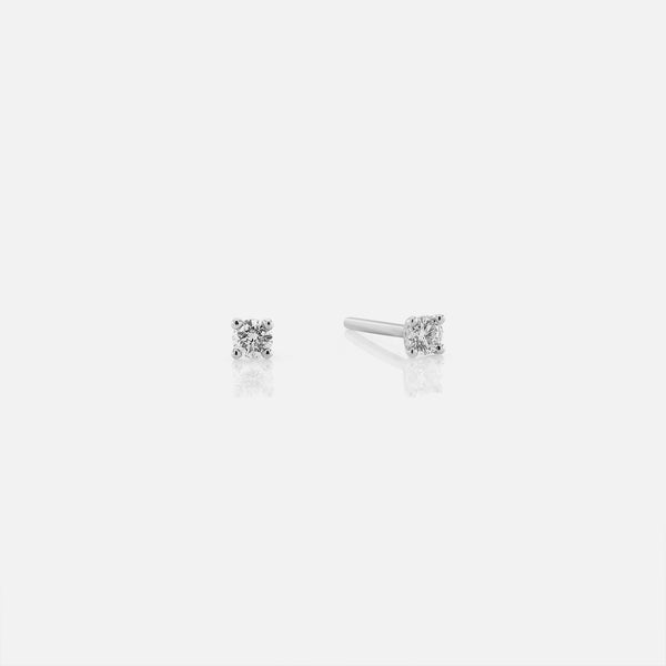 18k Solitaire Earrings in white Gold - Al Zain Jewellery